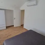 Apartamento Noel 1