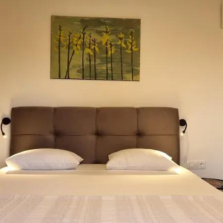 Apartament Noel 1 *