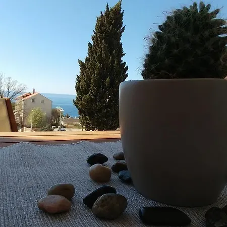 Noel 1 * Cavtat